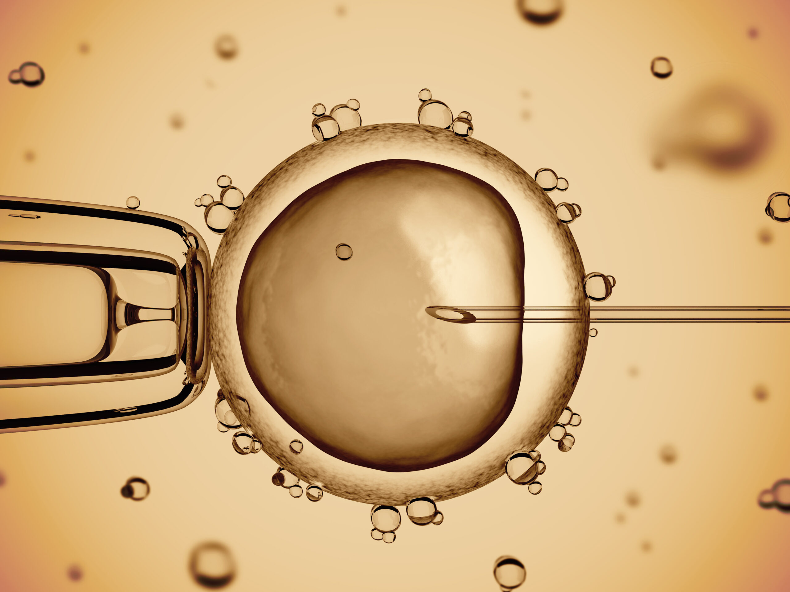 What to Do With Unused Embryos Once Your Family is Complete
